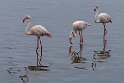 131 Walvisbaai, Namibie